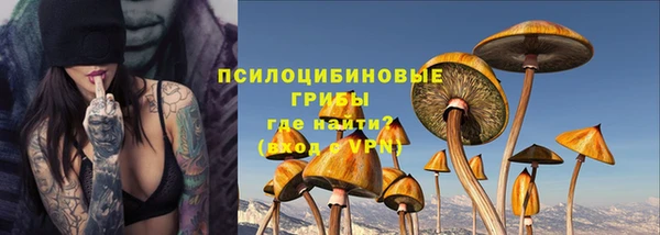 индика Абаза