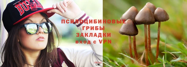 индика Абаза