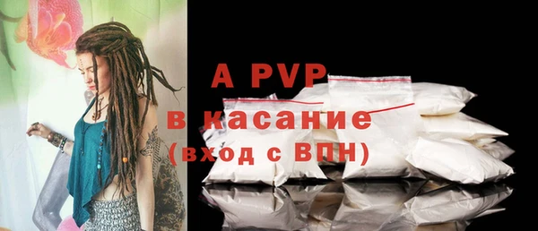 прущие грибы Абдулино