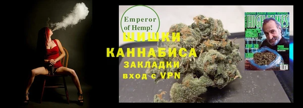 индика Абаза