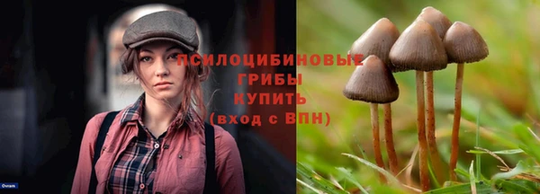 стафф Абинск