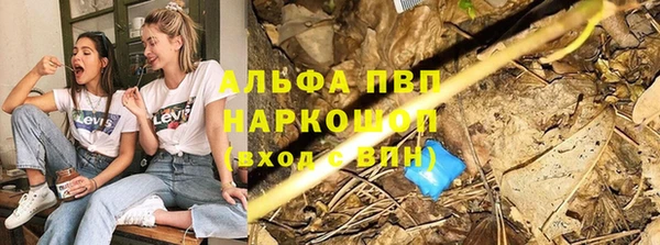 стафф Абинск