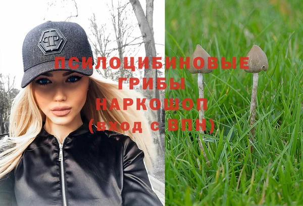 бошки Ельня