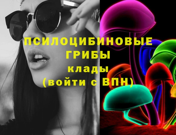 стафф Абинск