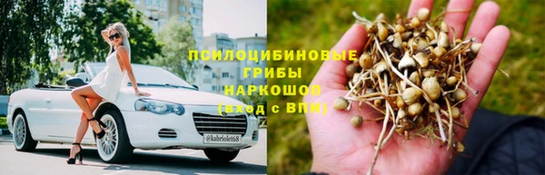 стафф Абинск
