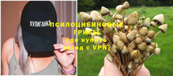 гашиш Няндома
