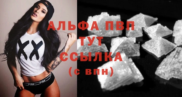 индика Абаза