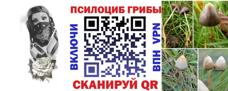 Псилоцибиновые грибы Magic Shrooms Тюкалинск